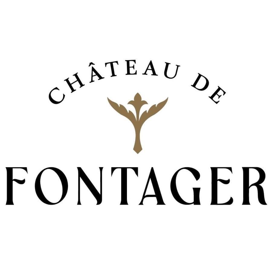 Hotel Château de Fontager à Serves-sur-Rhône Extérieur photo